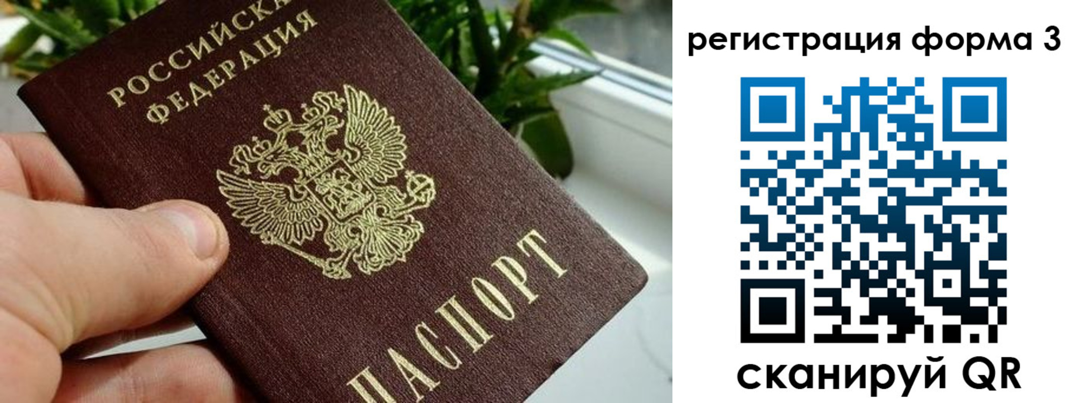 прописка штамп в Мордовии